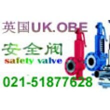 進(jìn)口蒸汽安全閥 上海樹(shù)典閥門