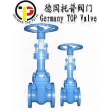 進口波紋管閘閥