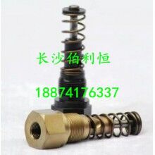 仕高瑪攪拌站潤(rùn)滑油泵配件潤(rùn)滑油泵泵芯/注油